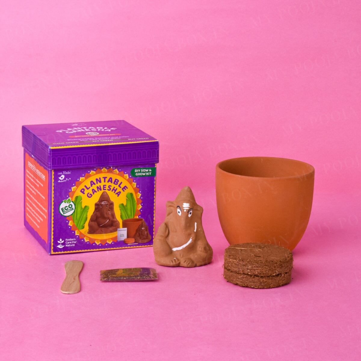 DIY Sow & Grow Kit
