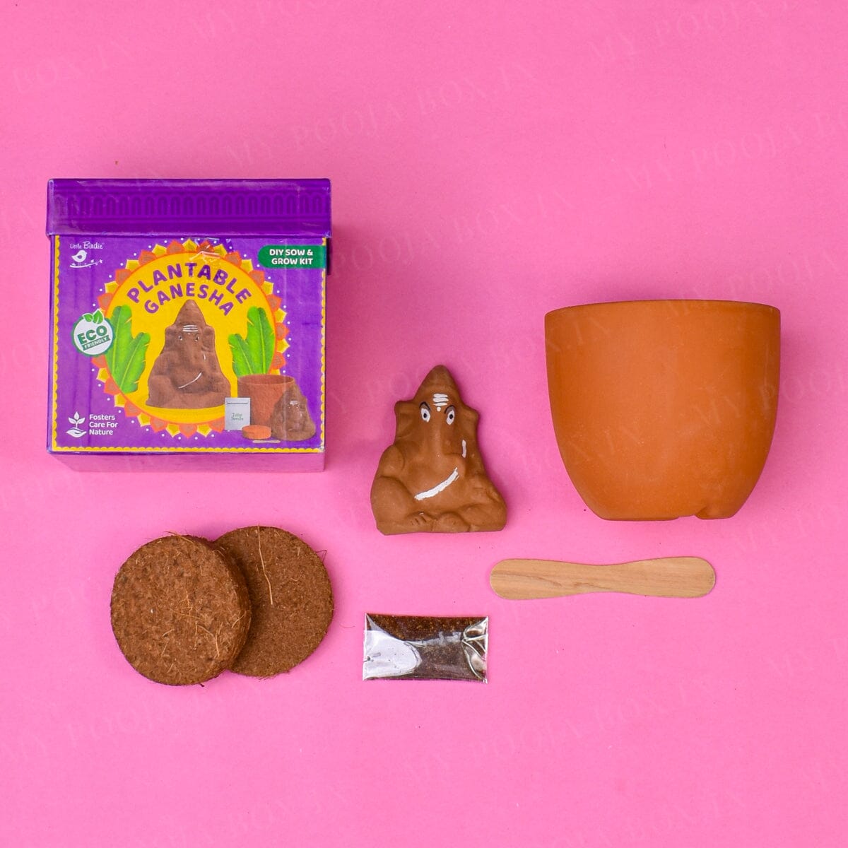 DIY Sow & Grow Kit