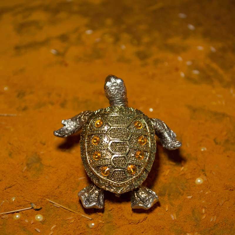 Stone Studded Sparkling Golden Tortoise
