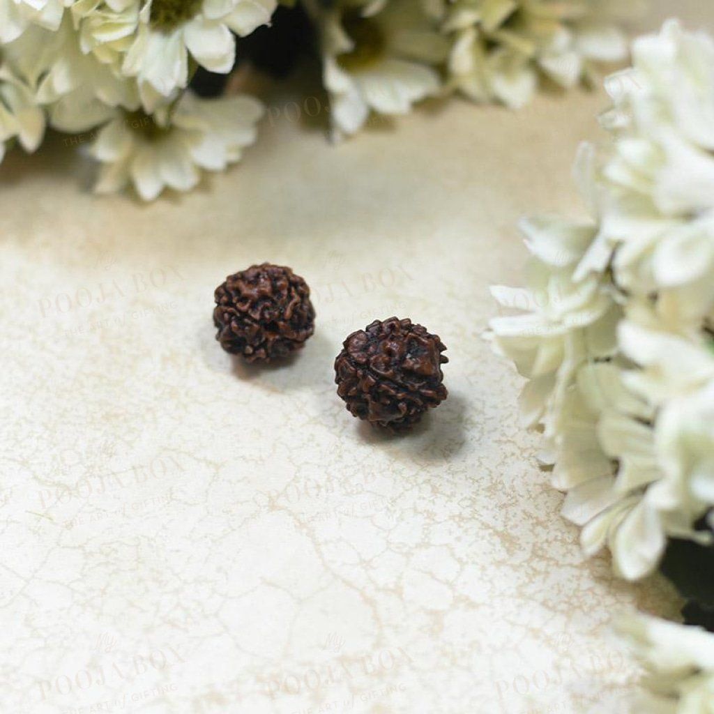 Natural Panchmukhi \five Face Rudraksha Pooja Items