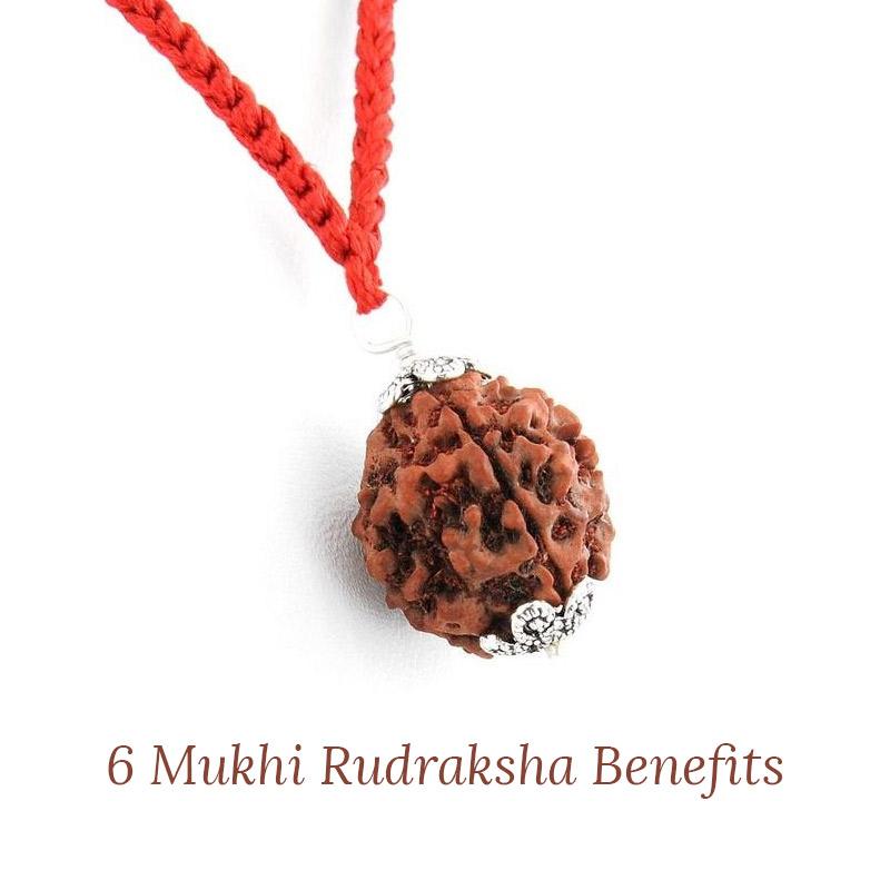 6 face rudraksha benefits