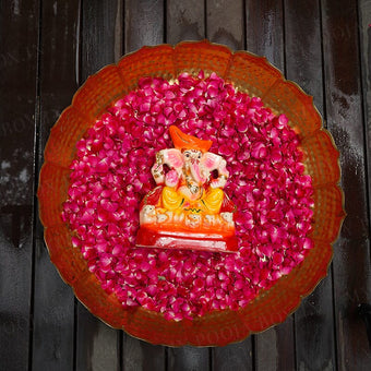10INCH Pitambara Eco-Friendly Ganpati | Plant-A-Ganesha