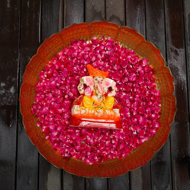 10INCH Pitambara Eco-Friendly Ganpati | Plant-A-Ganesha