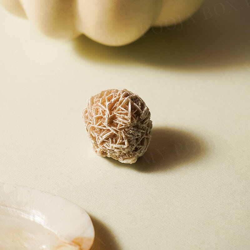 Desert Rose Selenite Stone