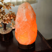 Himalayan Pink Salt Naturally Carved Glow Lamp