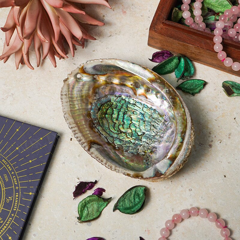 Abalone Shell Sage Holder