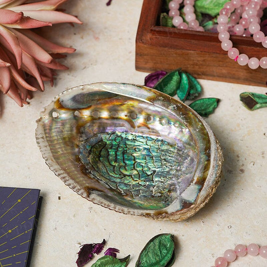 Abalone Shell Sage Holder