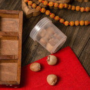 Betel Nut (Supari) - Pooja Samagri