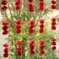 Artificial Genda Floral Hanging (Set of 5)