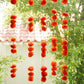 Artificial Genda Floral Hanging (Set of 5)