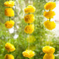 Artificial Genda Floral Hanging (Set of 5)