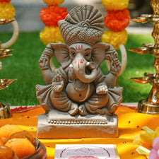 8INCH Vighnaraja Eco-Friendly Ganpati | Plant-A-Ganesha