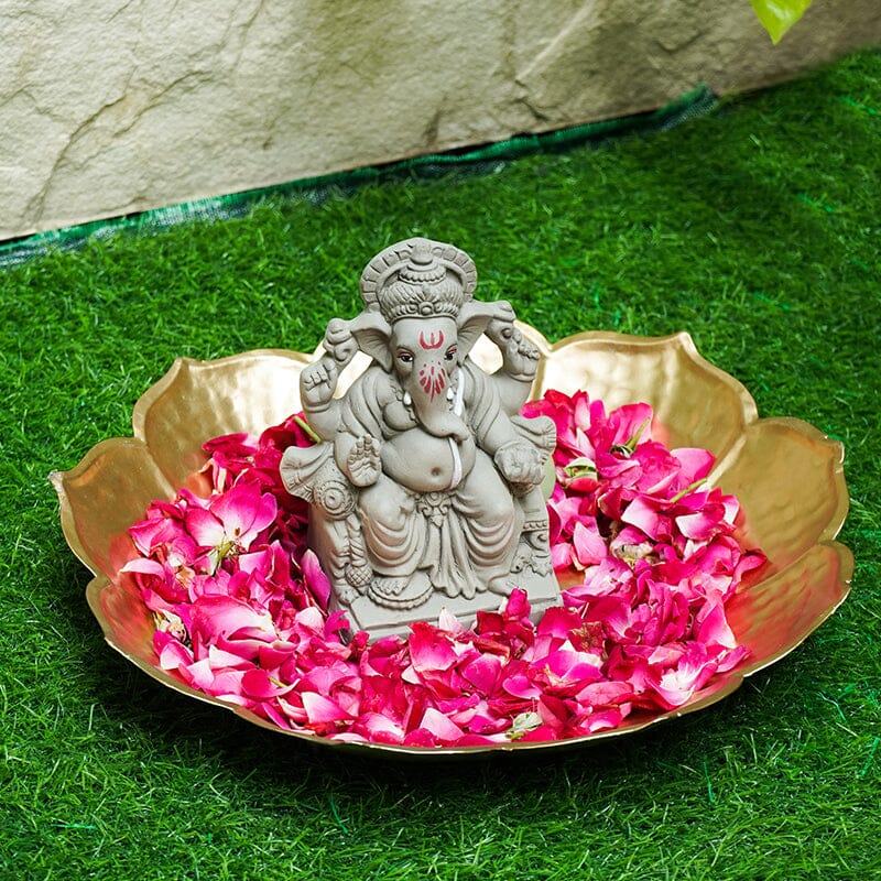 6INCH Ameya Eco-Friendly Ganpati | Plant-A-Ganesha