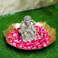 6INCH Ameya Eco-Friendly Ganpati | Plant-A-Ganesha