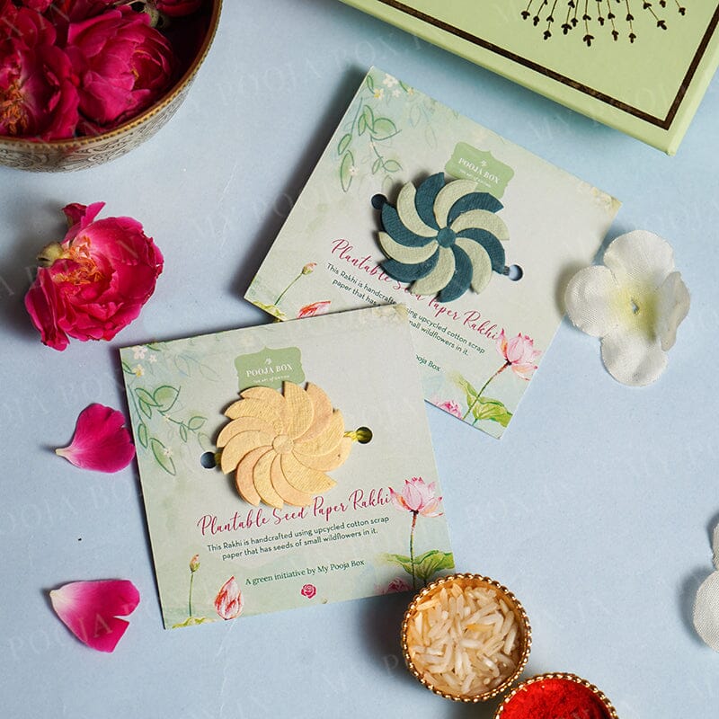 Eco-Friendly Plantable Seed Wheely Wonka Rakhi