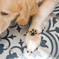 Dog Paw Perfect Pet Rakhi