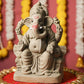 8INCH Mahodara Eco-Friendly Ganpati | Plant-A-Ganesha