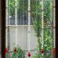 Artificial Jasmine Flower And Red Lotus Buds Decorative Backdrop Set Of 5