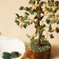 Green Jade Tree For Boosting Immune System 100 Beads