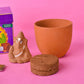 DIY Sow  & Grow Kit