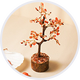 Gifts For Parents