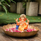 1FEET Eco-Friendly Mangalamurti Ganpati | Plant-A-Ganesha