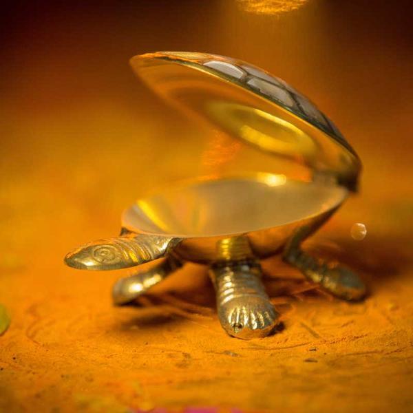 Buy Wish Fulfilling Turtle Online in India - Mypoojabox.in