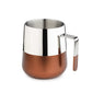 Chromology Mugs (SS & Brass Combo) Set of 2