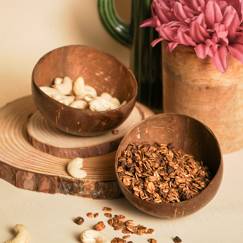 Coconut Shell Bowl (Set of 2)