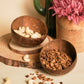 Coconut Shell Bowl (Set of 2)