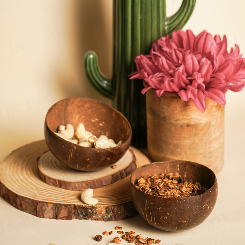 Coconut Shell Bowl (Set of 2)