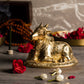 Divine Brass Shiv Nandi Bull