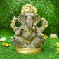 10INCH Umaputra Eco-Friendly Ganpati | Plant-A-Ganesha