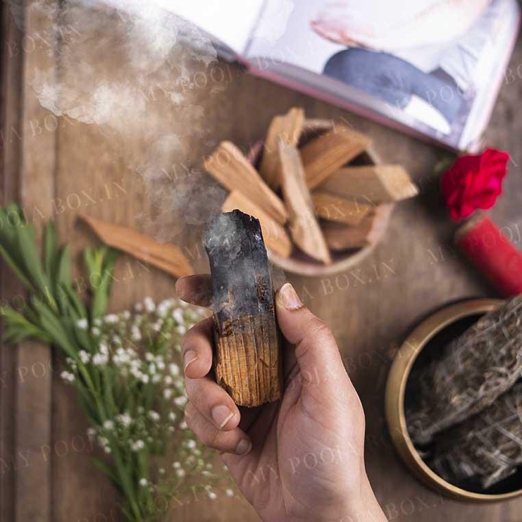 Spiritual Palo Santo Sticks/Holy Woods