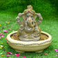 7INCH Sankathara Eco-Friendly Ganpati | Plant-A-Ganesha