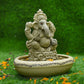 8INCH Ameya Eco-Friendly Ganpati | Plant-A-Ganesha