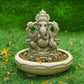 8INCH Ameya Eco-Friendly Ganpati | Plant-A-Ganesha
