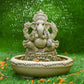 8INCH Ameya Eco-Friendly Ganpati | Plant-A-Ganesha