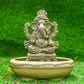 8INCH Ameya Eco-Friendly Ganpati | Plant-A-Ganesha