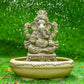 8INCH Ameya Eco-Friendly Ganpati | Plant-A-Ganesha