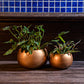 Handcrafted Round Copper Vases Set of 2