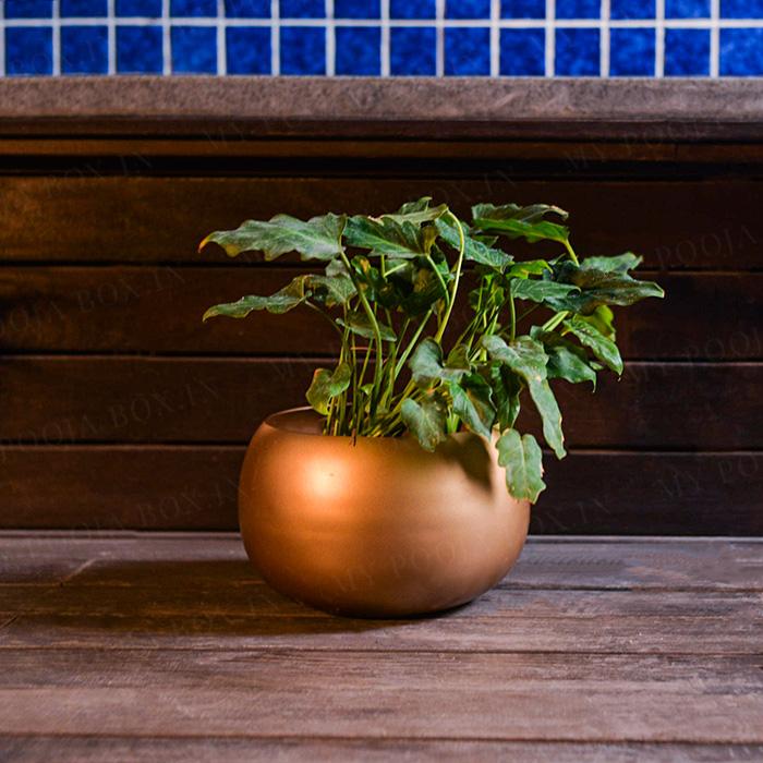 Handcrafted Round Copper Vases Set of 2