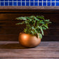 Handcrafted Round Copper Vases Set of 2