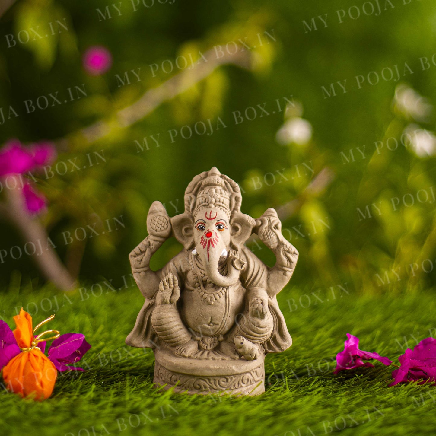 5INCH Avighna Eco-Friendly Ganpati | Plant-A-Ganesha
