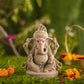 7INCH Gaurik Eco-Friendly Ganpati | Plant-A-Ganesha