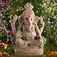 1.5FEET Pagdi Ganraj Eco-Friendly Ganpati | Plant-A-Ganesha