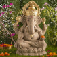 1.5FEET Siddhaye Eco-Friendly Ganpati | Plant-A-Ganesha