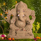 2FEET Bappa Eco-Friendly Ganpati | Plant-A-Ganesha
