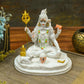 Divine Marble Dust Shiv Idol/Murti