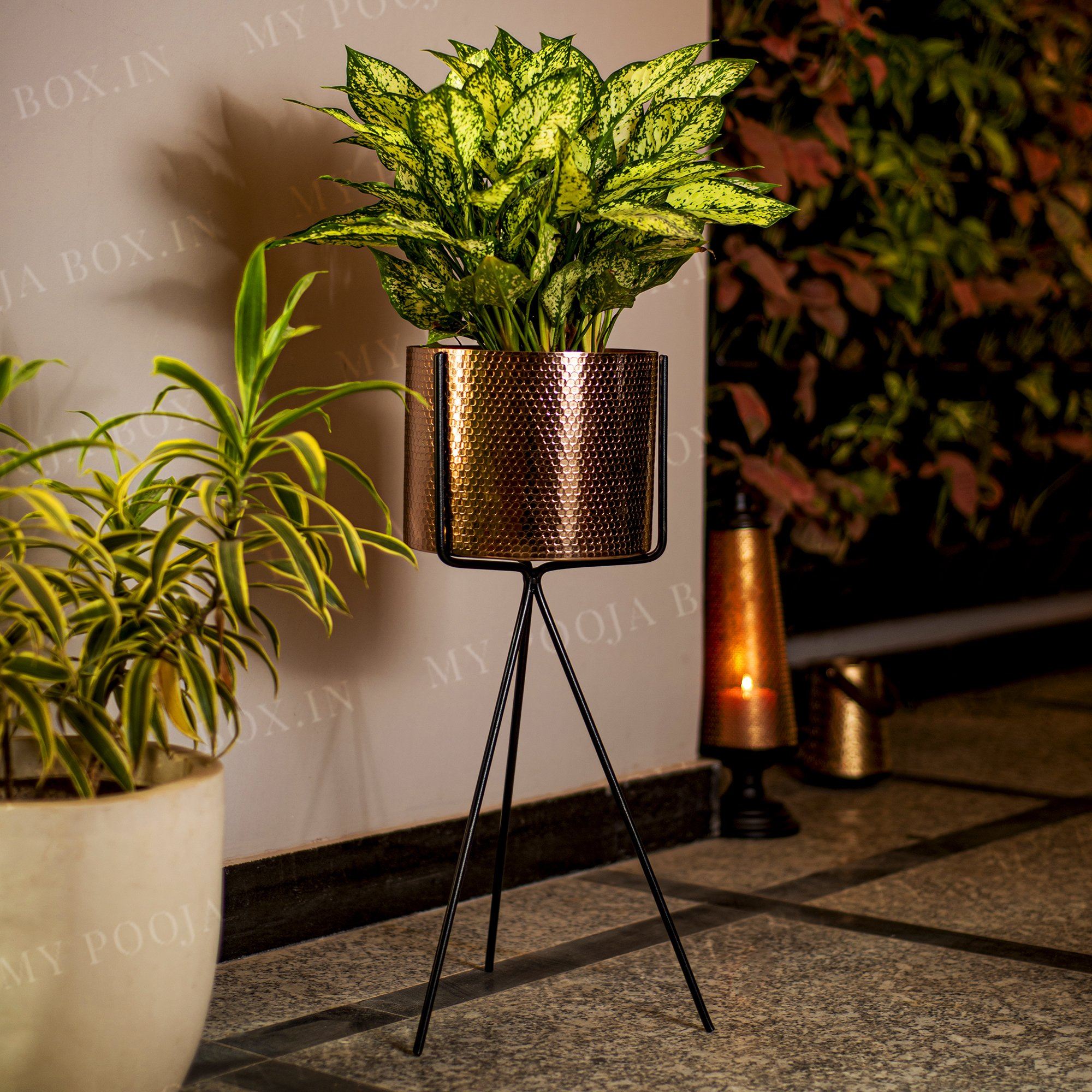 Hamza Iron Planter with Stand